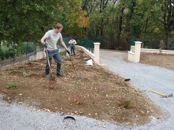 entretien de jardins